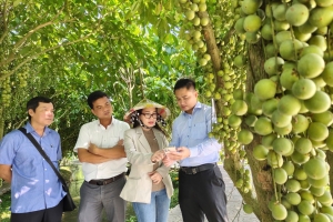 Agribank Chi nhánh Kiên Giang tiếp sức mô hình du lịch sinh thái