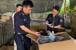 Hải quan Hà Nội xử lý 669 vụ vi phạm, thu ngân sách hơn 81,5 tỷ đồng trong 6 tháng