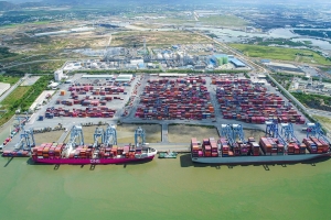 TP.HCM cho thuê gần 103 ha đất triển khai siêu cảng Cái Mép Hạ hơn 50.800 tỷ đồng