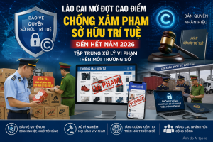 Lào Cai mở cao điểm chống xâm phạm sở hữu trí tuệ, siết chặt vi phạm trên môi trường số