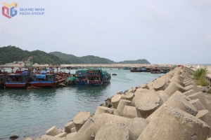 Tạm ngừng cấp phép tàu hoạt động trên vùng biển Quảng Ninh