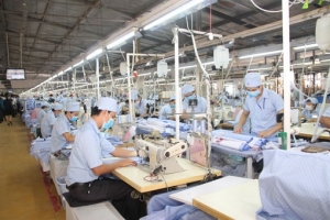 May mặc Bình Dương (BDG) mạnh tay chia cổ tức tiền mặt tỷ lệ 50%