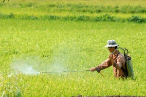 Cập nhật danh mục thuốc bảo vệ thực vật được phép sử dụng tại Việt Nam
