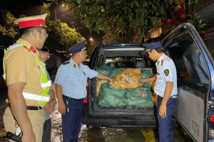 Cao Bằng: Xử phạt hành chính và tiêu hủy 310 kg móng giò lợn không rõ nguồn gốc