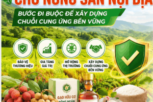 Bảo hộ nhãn hiệu và tấm lá chắn cho tài sản vô hình