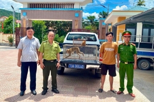 Quảng Trị: Tiếp nhận nhiều cá thể động vật hoang dã quý hiếm