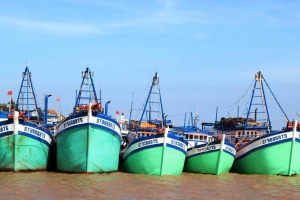 Cần Thơ: Hơn 4 tỷ đồng hỗ trợ cước phí thuê bao vệ tinh thiết bị giám sát hành trình tàu cá