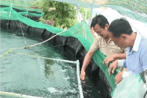 Nuôi cá chình tuần hoàn: Hướng đi mới cho thủy sản nước ngọt ở Lâm Đồng