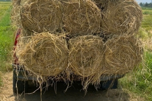 Máy cuộn rơm rạ giúp nâng cao giá trị phụ phẩm nông nghiệp, giảm ô nhiễm môi trường