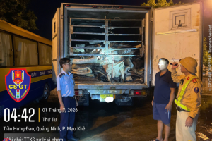Quảng Ninh: Phát hiện xe tải vận chuyển gần 9 tấn da trâu muối không rõ nguồn gốc