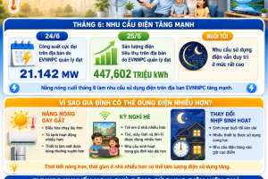 Từ những ngày nắng nóng kỷ lục đến thay đổi trong sử dụng điện