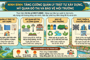 Ninh Bình: Tăng cường quản lý trật tự xây dựng, mỹ quan đô thị và bảo vệ môi trường