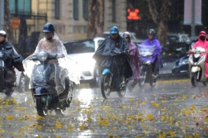 Thời tiết hôm nay 7/7: Bắc Bộ mưa dông về chiều tối, Nam Bộ cục bộ mưa to