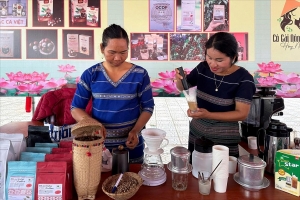 Lâm Đồng: OCOP khơi dậy nội lực, nâng tầm thương hiệu sản phẩm địa phương