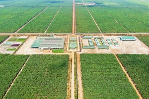 KLH Snuol đạt chứng nhận GLOBALG.A.P. IFA v6 GFS và hoàn thành đánh giá GRASP v2.0
