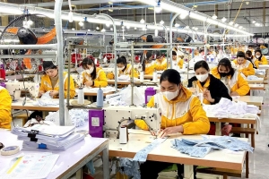 Lào Cai triển khai Chương trình hỗ trợ kinh doanh bền vững giai đoạn 2026 - 2030