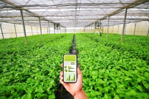 Trước bức tường lửa ESG và truy xuất nguồn gốc: Văn hóa doanh nghiệp là tấm khiên hay là rào cản?