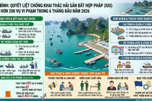 Ninh Bình: Quyết liệt chống khai thác hải sản bất hợp pháp, xử lý hơn 200 vụ vi phạm trong 6 tháng đầu năm