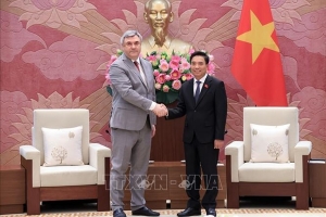 Phát triển thực chất, bền vững quan hệ chiến lược Việt Nam - Liên bang Nga
