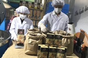 Đắk Lắk: Tập trung phát triển chuyển đổi số trong doanh nghiệp nhỏ và vừa