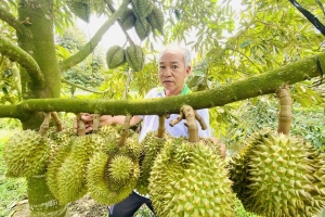 Khẩn cấp gỡ "nút thắt" mã số vùng trồng, Chính phủ thúc đẩy xuất khẩu nông sản trước cao điểm mùa vụ