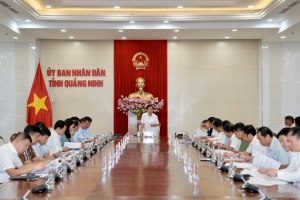 Ủy ban Kiểm tra Trung ương làm việc với Quảng Ninh về tháo gỡ các dự án tồn đọng, kéo dài