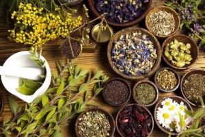 Phát huy vai trò của y học cổ truyền trong chăm sóc, nâng cao sức khỏe Nhân dân