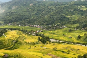 Lào Cai: Giải đua xe đạp địa hình “Vút bay trên sóng lúa vàng” kích cầu du lịch Mường Bo