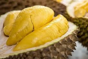 Giá sầu riêng hôm nay 11/7: Thị trường đi ngang