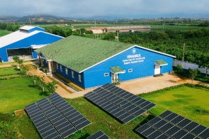 Doanh nghiệp chuyển đổi xanh: Lợi thế cạnh tranh hay áp lực chi phí?