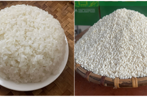 Gạo nếp Gà Gáy Mỹ Lung được bảo hộ chỉ dẫn địa lý
