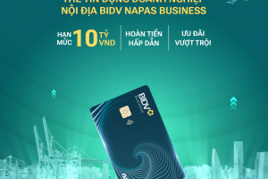 BIDV Napas Business - giải pháp thanh toán hiệu quả của doanh nghiệp