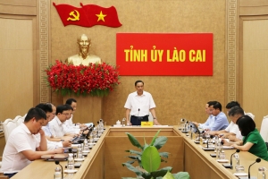Lào Cai: Thúc đẩy tiến độ chuyển đổi số gắn với tăng trưởng
