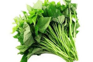 Hàm lượng polyphenol và hoạt tính sinh học trong rau lang biến đổi theo phương pháp chế biến nhiệt