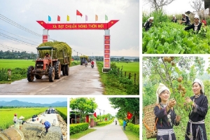 Lâm Đồng ban hành Bộ tiêu chí nông thôn mới giai đoạn 2026-2030, thúc đẩy chuyển đổi số và phát triển nông thôn thông minh