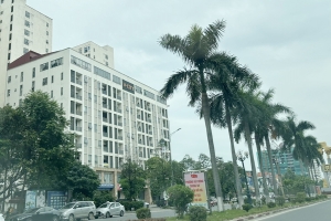 Bắc Ninh công bố mở bán 653 căn nhà ở xã hội tại phường Yên Dũng