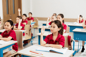 Quảng Ninh dự kiến thí điểm xe buýt đưa đón học sinh năm học 2026-2027