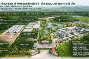 Tập đoàn Quế Lâm xây dựng dự án 4F Quế Lâm gần 1.300 tỷ đồng tại Hà Tĩnh