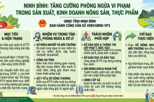 Ninh Bình tăng cường phòng ngừa vi phạm trong sản xuất, kinh doanh nông sản, thực phẩm