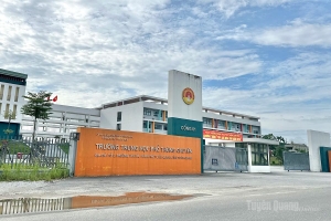 Khởi tố thêm một giáo viên Trường THPT Chuyên Tuyên Quang