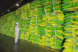 PVFCCo - Phú Mỹ (DPM) chốt kế hoạch trả cổ tức tiền mặt tỷ lệ 15%