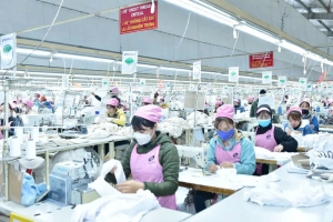 Tuyên Quang: Thúc đẩy chuyển đổi số và nâng cao năng lực cạnh tranh giai đoạn 2026 - 2035