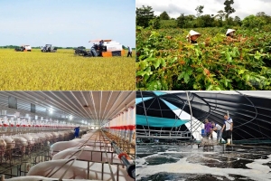 Quảng Trị được bổ sung hơn 276 tỷ đồng thực hiện Chương trình mục tiêu quốc gia