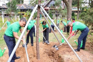 Phú Thọ: Khởi động Tháng cao điểm làm đẹp diện mạo Khu du lịch quốc gia Tam Đảo