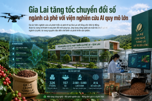 Gia Lai hướng tới trung tâm đổi mới sáng tạo ngành cà phê với dự án AI hơn 326 tỷ đồng