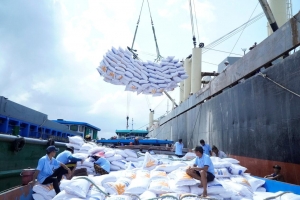 Giá lúa gạo hôm nay 19/7: Lúa biến động trái chiều, gạo xuất khẩu giữ giá