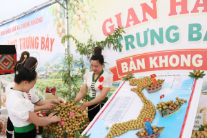 Sơn La: Lần đầu tổ chức hội thi xoáy long nhãn, đẩy mạnh tiêu thụ nông sản trên nền tảng số