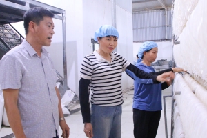 Bắc Ninh: Giữ vững thương hiệu và nâng cao sức cạnh tranh sản phẩm OCOP