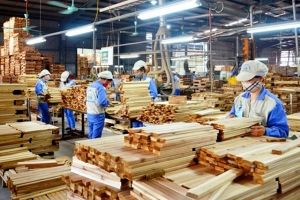 Ngành gỗ Việt Nam mở rộng dư địa tăng trưởng từ châu Âu và châu Á