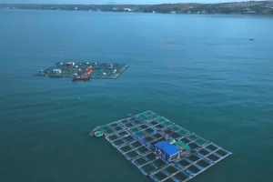 Lâm Đồng tăng tốc phát triển năng lượng tái tạo, hướng tới trung tâm năng lượng xanh quốc gia